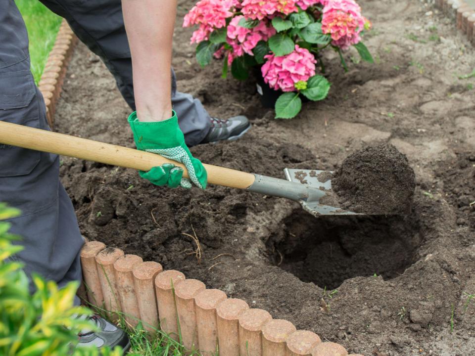 Bloemensteun, 90 stuks, plantensteunen voor orchideeën, kamerplanten