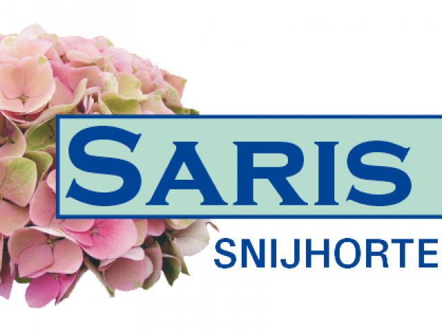Saris Hortensia's